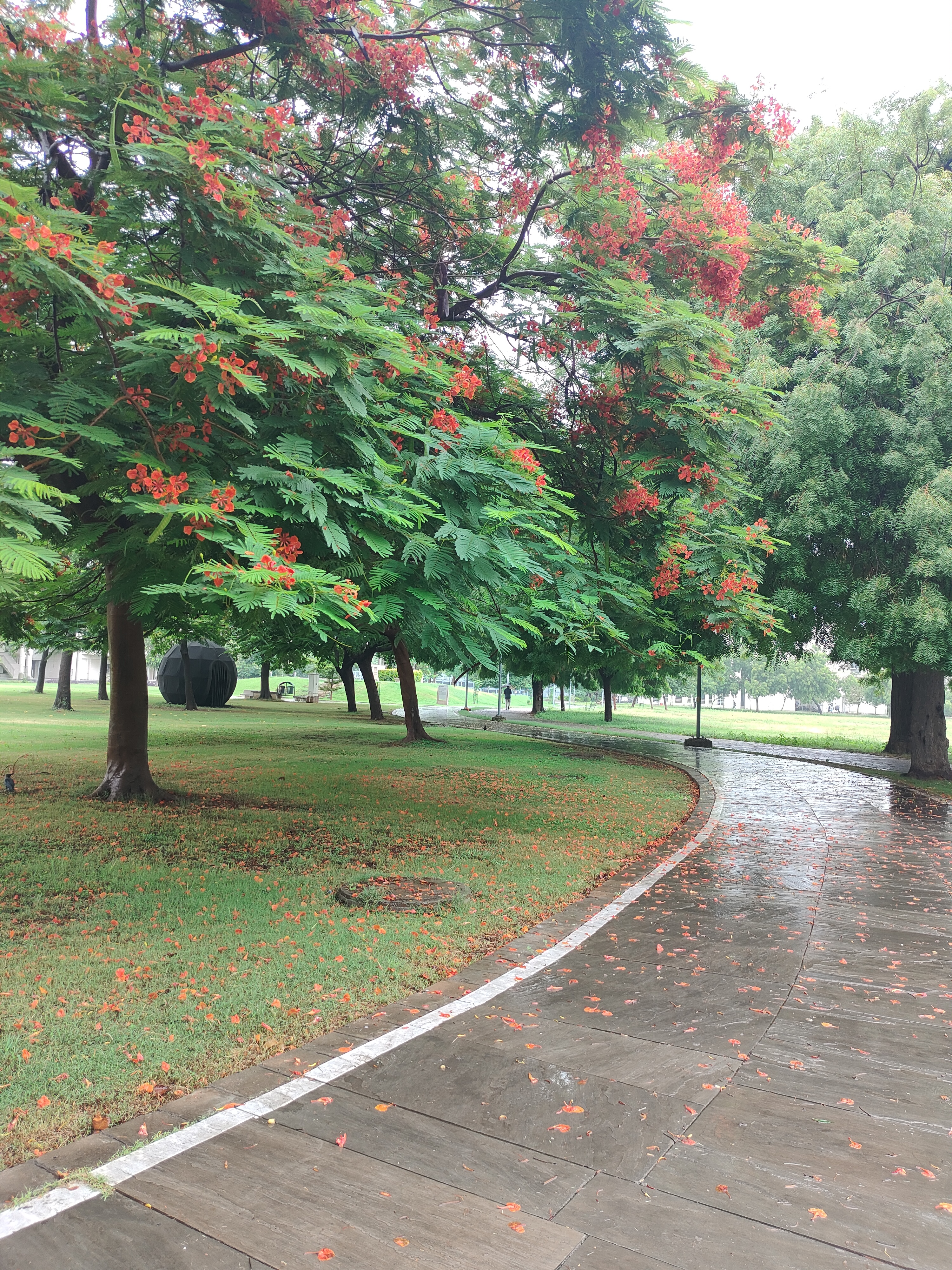 IIT Gandhinagar Campus